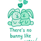 The're No Bunny Like You