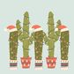 Christmas Cactus | Christmas Card